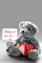 Teddy bear waiting for true love