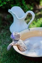 Teddy bear washing in foam in sunny summer garden Royalty Free Stock Photo