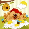 Teddy bear watching bees on daisy Royalty Free Stock Photo