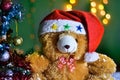 Teddy Bear wear hat in Christmas and Multi colored balls on christmas tree Royalty Free Stock Photo