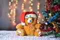 Teddy Bear wear hat in Christmas and Multi colored balls on christmas tree Royalty Free Stock Photo
