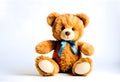 Teddy bear with white background