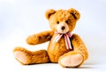 Teddy bear with white background