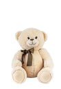 Teddy bear on white background isolate. Selective focus. Royalty Free Stock Photo