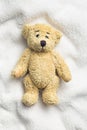 Teddy bear Royalty Free Stock Photo