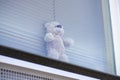 Teddy bear in window for children to bear hunt during the coronavirus covid19 pandemic