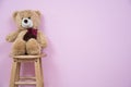 Teddy Bear on wooden chair with pink walls.