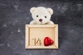 Teddy bear and Wooden frame with figures one and four and hearts on a gray background. The symbol of the day of lovers. Valentine Royalty Free Stock Photo