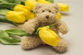 Teddy bear and yellow tulips. Gift for women