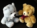 Teddy Bears