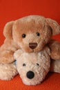 Teddy bears #9 Royalty Free Stock Photo