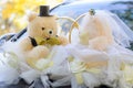 Teddy bears on the car. Wedding decor. Wedding Teddy Bears. Wedding tuple