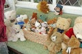 Teddy Bears Galore