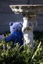 Teddy bears hiding behind plants in a garden