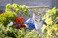 Teddy bears hiding behind plants in a garden