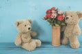 Teddy bears love Royalty Free Stock Photo