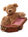 Teddy bears picnic Royalty Free Stock Photo