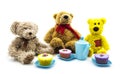 Teddy bears picnic