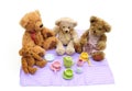 Teddy bears picnic Royalty Free Stock Photo