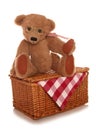 Teddy bears picnic soft toy Royalty Free Stock Photo