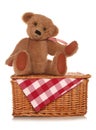 Teddy bears picnic Royalty Free Stock Photo