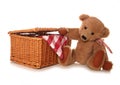 Teddy bears picnic Royalty Free Stock Photo