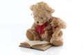 Teddy bears reading a book parenting concept Royalty Free Stock Photo