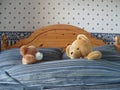 Teddy bears snuggled up in bed Royalty Free Stock Photo