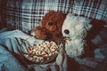 Teddy Bears watch movies on the couch and eat popcorn