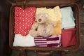 Teddy bera in open suitcase