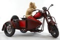 Teddy Biker Royalty Free Stock Photo