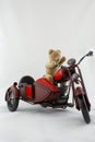 Teddy Biker Royalty Free Stock Photo