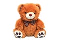 Teddy brown bear isolated. Stuffed toy for kids, valentine`s day gift.