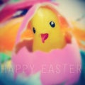 Teddy chick in easter egg and the text happy easter Royalty Free Stock Photo