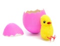 Teddy chick and hatched pink easter egg