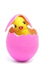 Teddy chick and hatched pink easter egg Royalty Free Stock Photo