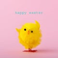 Teddy chick and text happy easter Royalty Free Stock Photo
