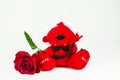 Teddy devil Soft toy with heart red rose for Valentines day