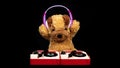 Teddy dog moving djing on turntables with headphones