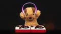 Teddy dog moving djing on turntables with headphones