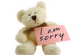 Teddy - i am sorry Royalty Free Stock Photo