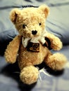 Teddy