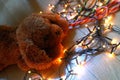 Teddy puppy lying on fairy lights with warm colours.