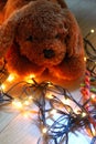 Teddy puppy lying on fairy lights with warm colours.