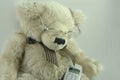 Teddy wants to make a call