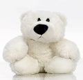 Teddybear Royalty Free Stock Photo