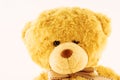 Teddybear