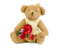 Teddybear girl Royalty Free Stock Photo