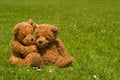 Teddybear romance Royalty Free Stock Photo