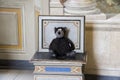 Teddybear sitting alone on a historical chair Royalty Free Stock Photo